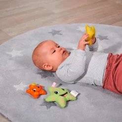 ABC Weiche Seesterne