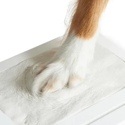 Abdruckset mit Bilderrahmen