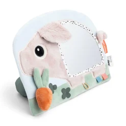 Activity Spiegel Pigee