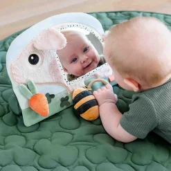 Activity Spiegel Pigee