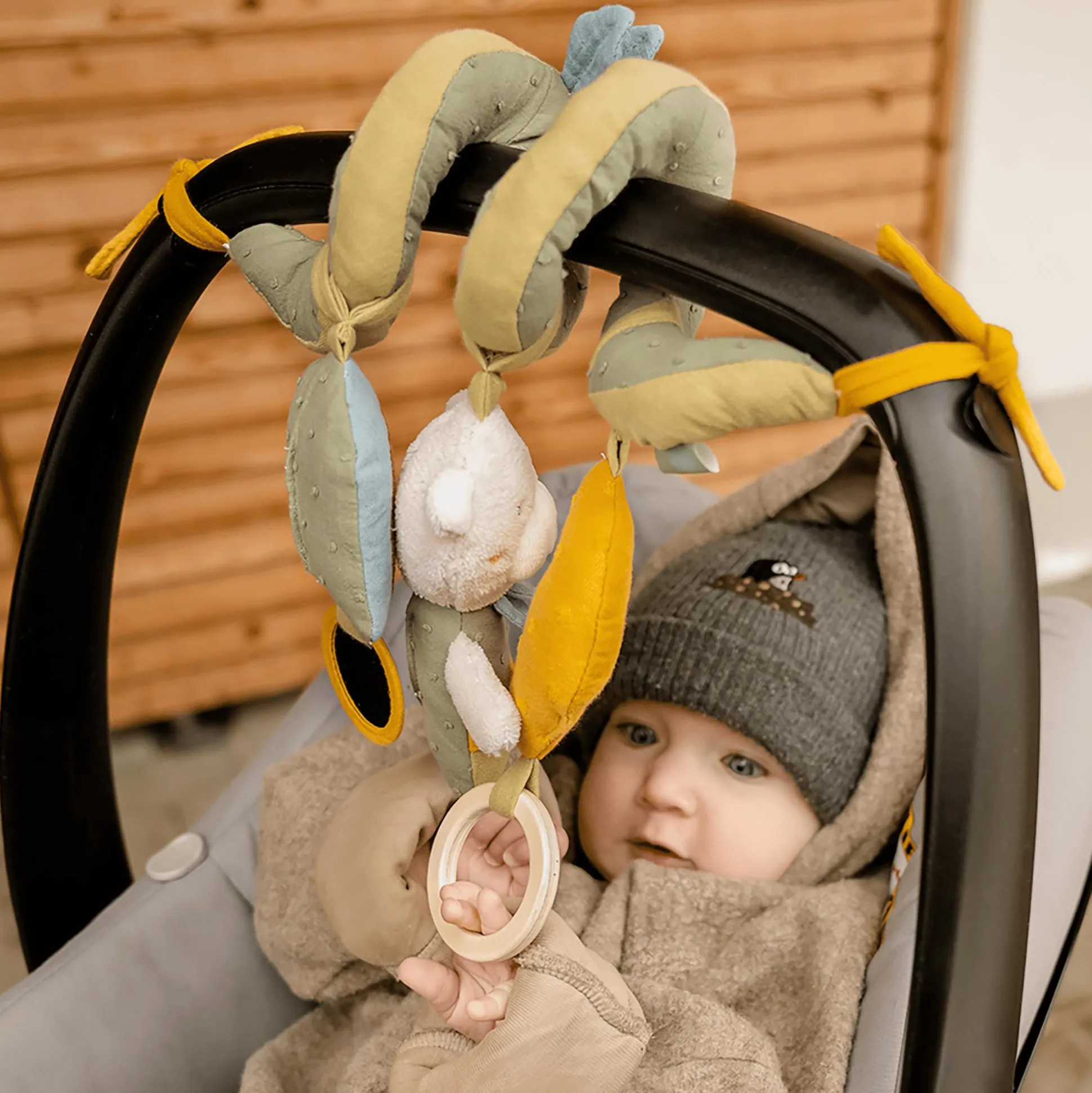 Activity-Spirale Bär