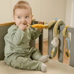 Activity-Spirale Bär