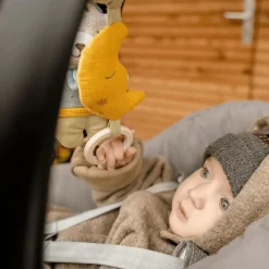 Activity-Spirale Bär