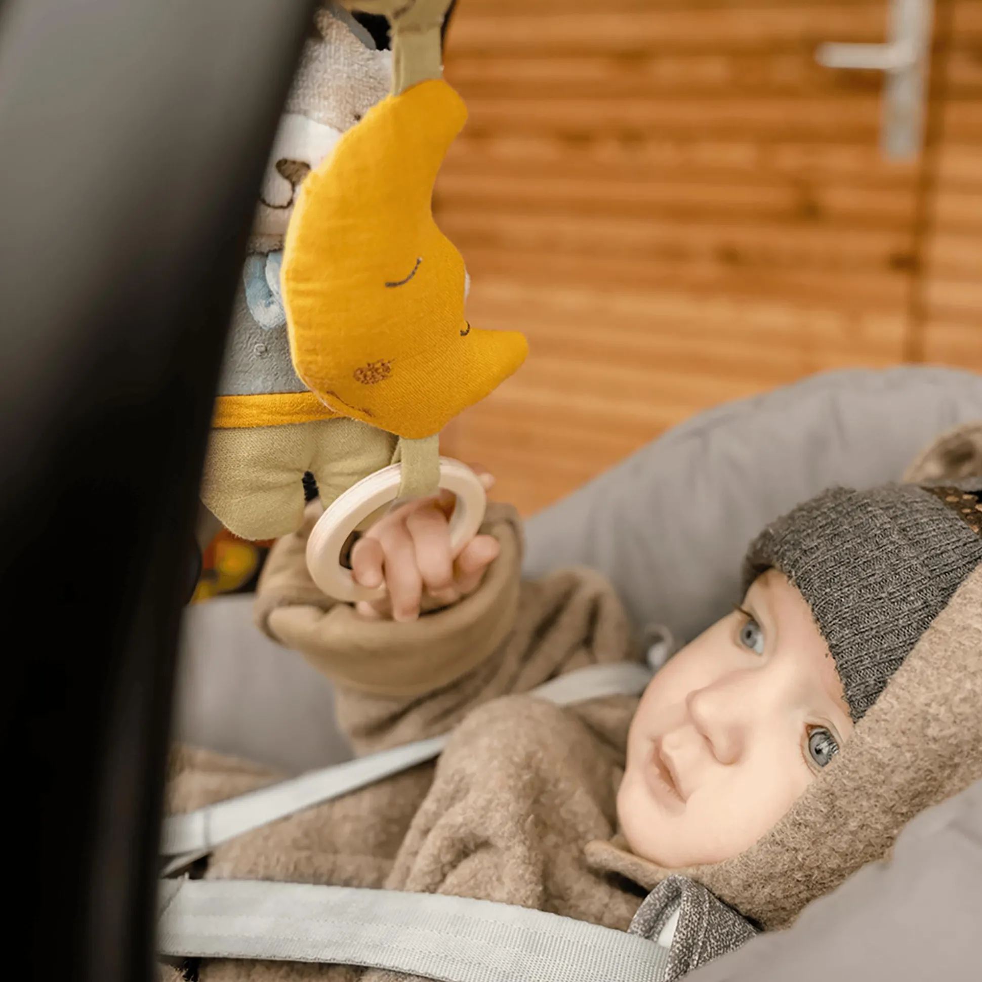 Activity-Spirale Bär