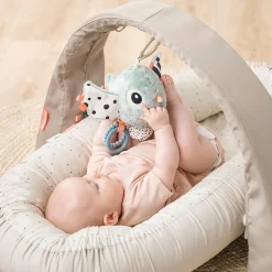 Aktivitäten-Spielzeug Birdee