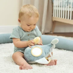 Aktivitätenwal Romeo, Jules & Sally