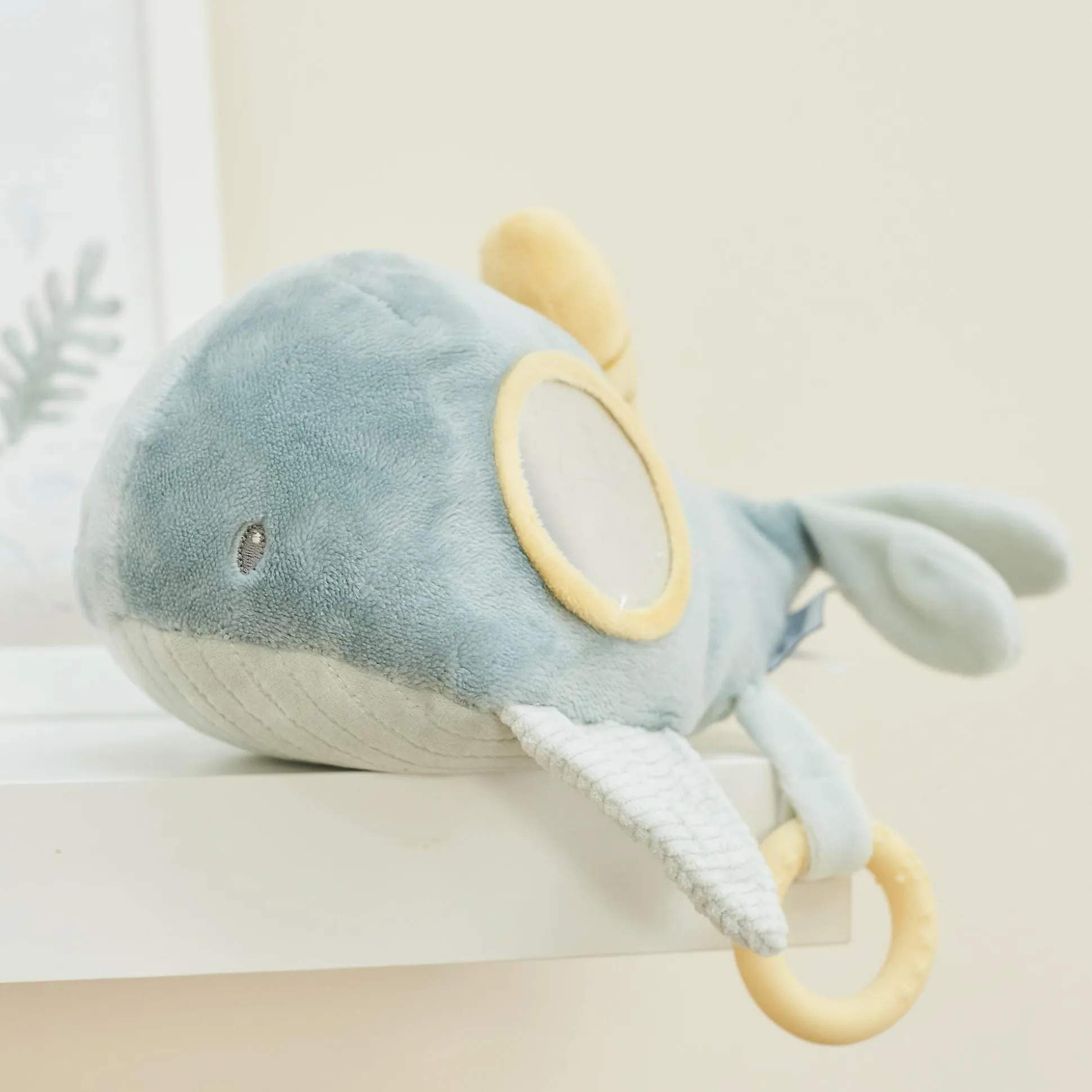 Aktivitätenwal Romeo, Jules & Sally