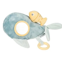 Aktivitätenwal Romeo, Jules & Sally