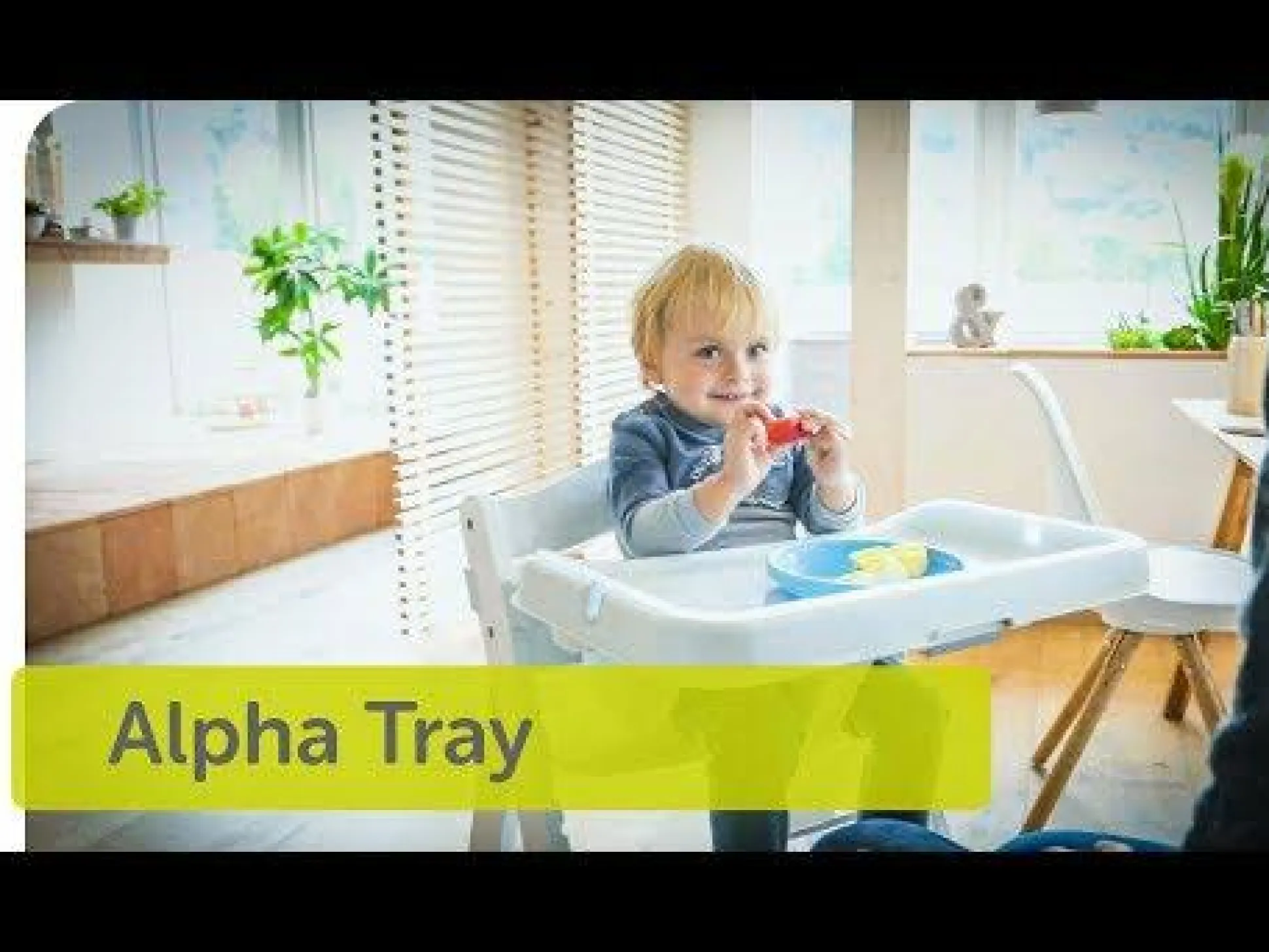 Alpha Tray