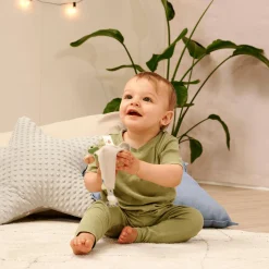 Baby HIPP Greifling mit Schmusetuch