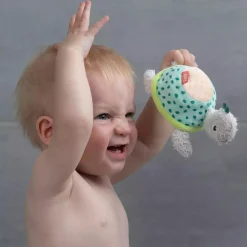 Bade-Schwamm Schildkröte