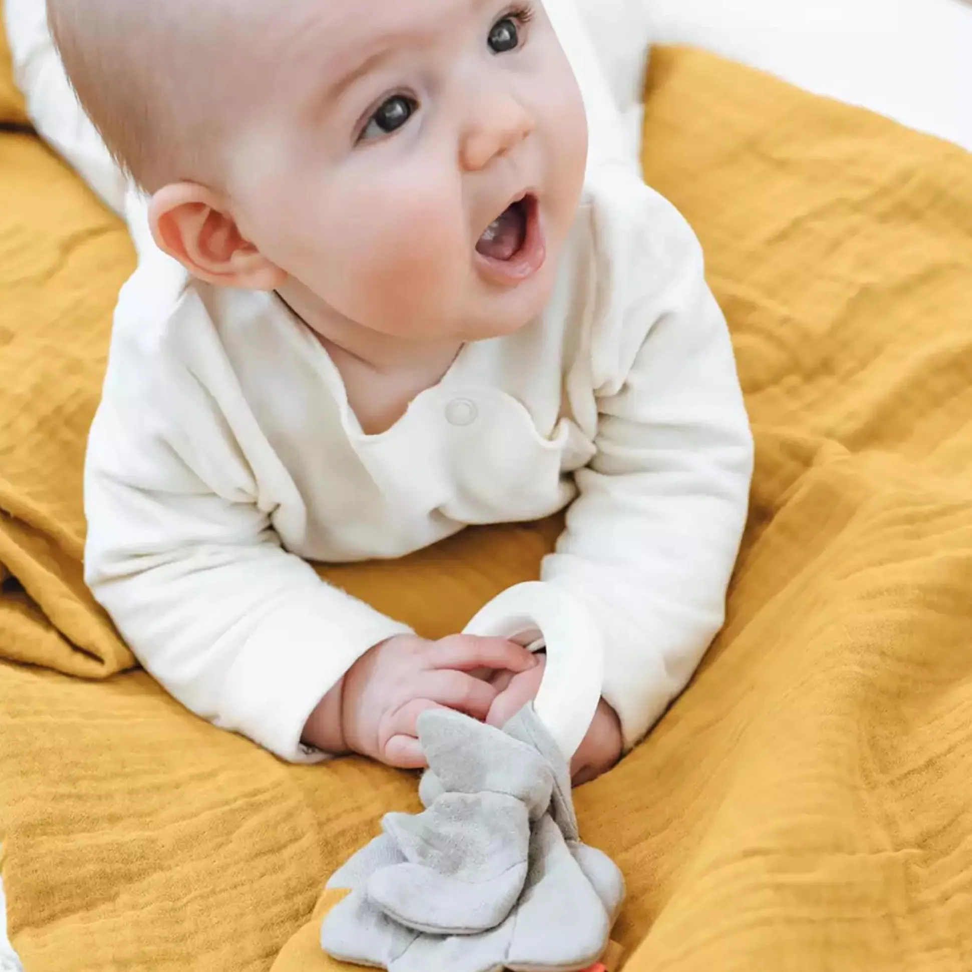 Beißring Forest Friends