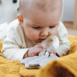 Beißring Forest Friends