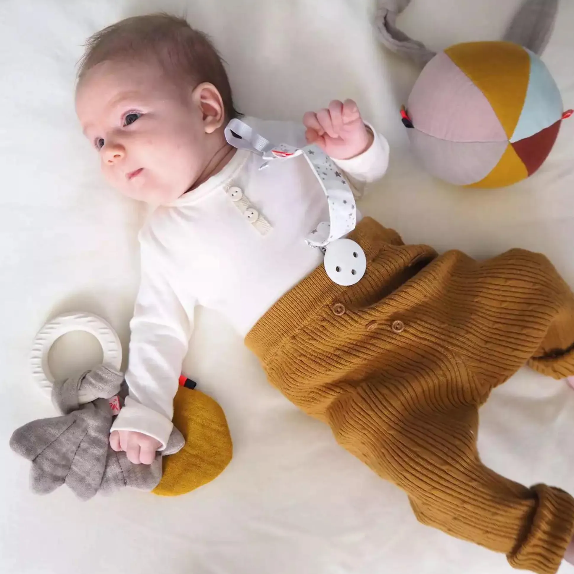 Beißring Forest Friends