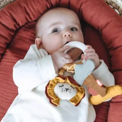 Beißring Löwe Sonnenuntergang