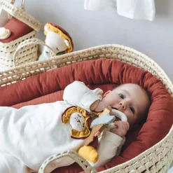 Beißring Löwe Sonnenuntergang