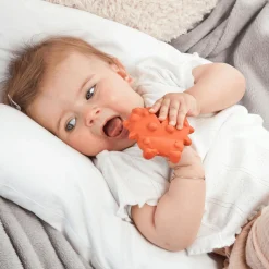 Beißring Marienkäfer