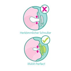 Beruhigungssauger Perfect Silikon 6 - 16 Monate