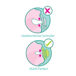 Beruhigungssauger Perfect Night Silikon 6 - 16 Monate