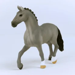 Cheval de Selle Francais Hengst