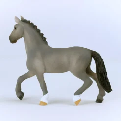 Cheval de Selle Francais Hengst