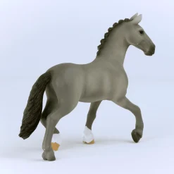 Cheval de Selle Francais Hengst