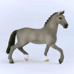 Cheval de Selle Francais Hengst