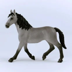 Cheval de Selle Francais Stute