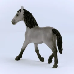 Cheval de Selle Francais Stute