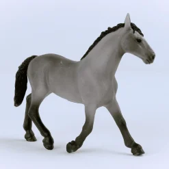 Cheval de Selle Francais Stute