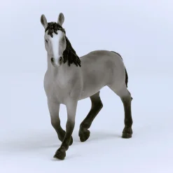 Cheval de Selle Francais Stute