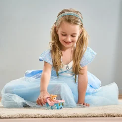 Cinderellas verzauberte Kutsche