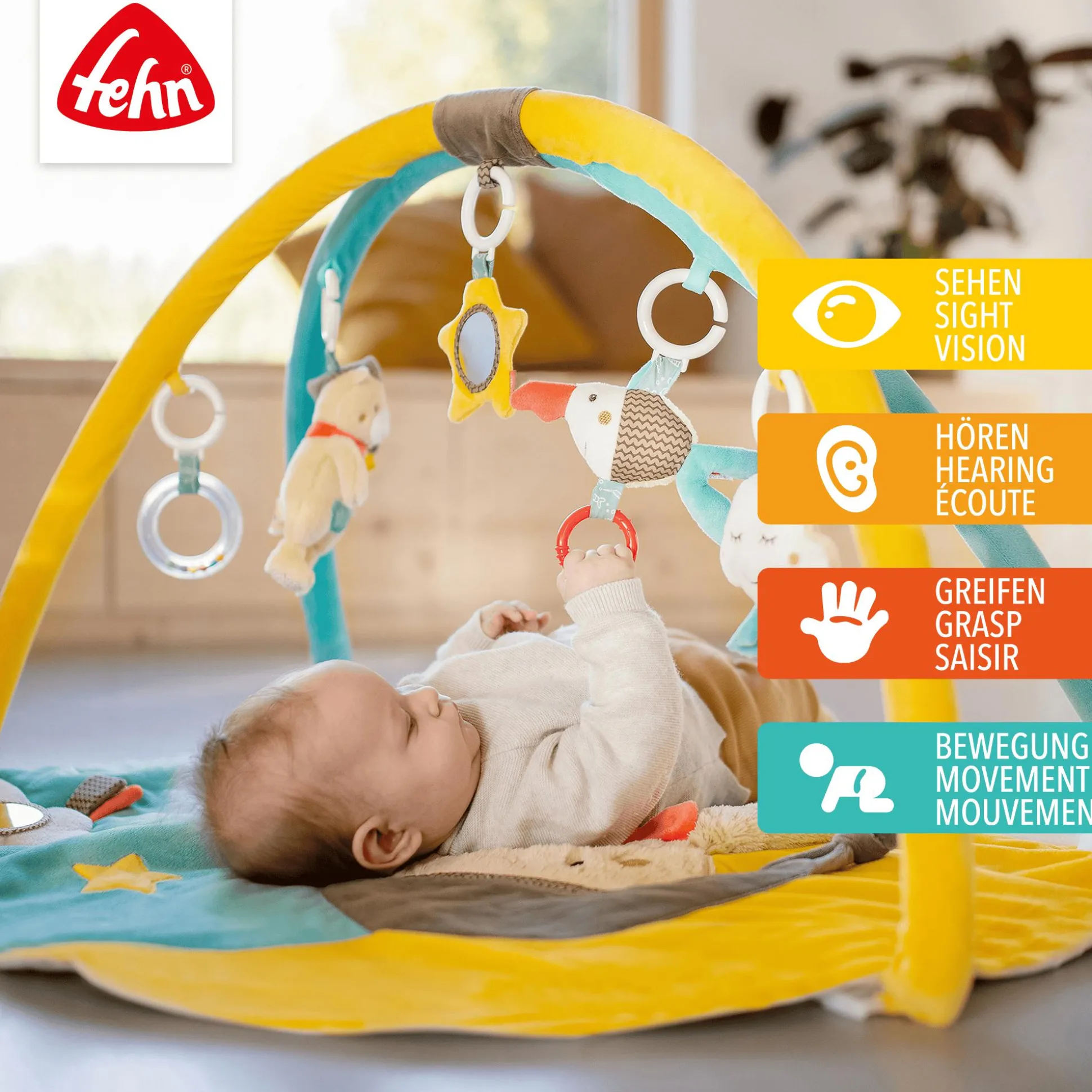 3D Activity Decke Bruno