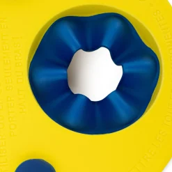 Delphin Schwimmscheiben