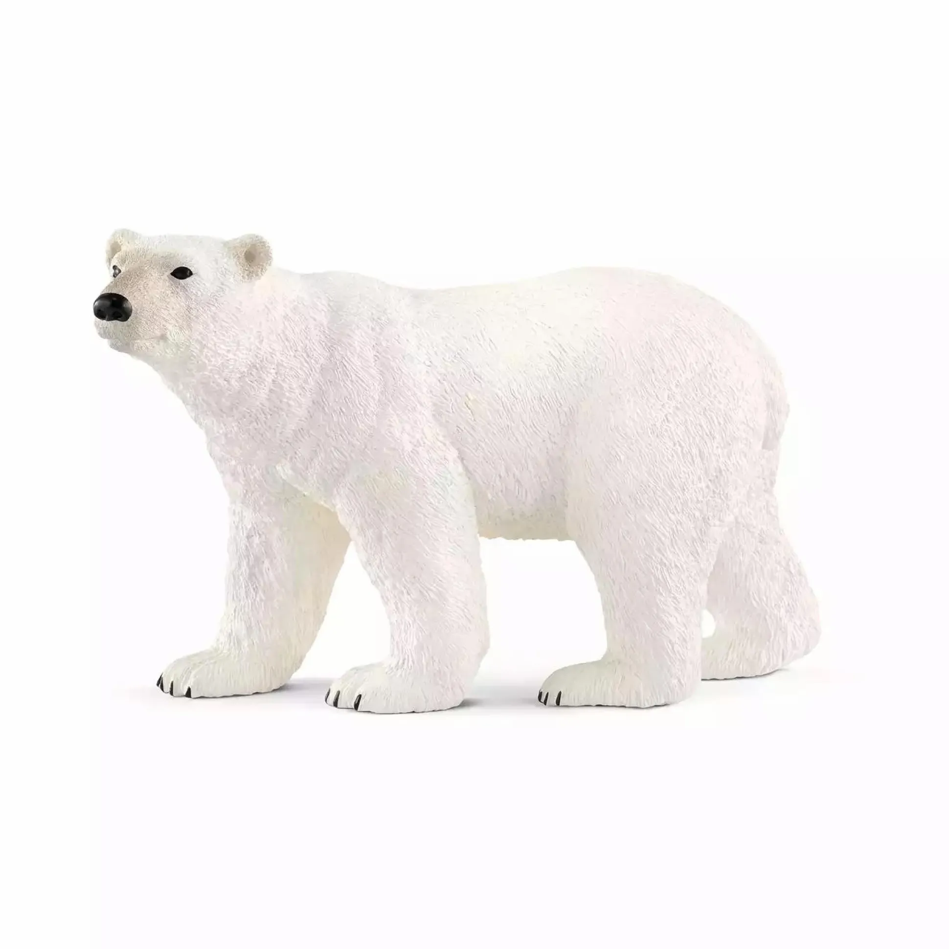 Eisbär