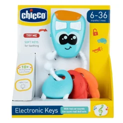 Elektronischer Schlüsselbund