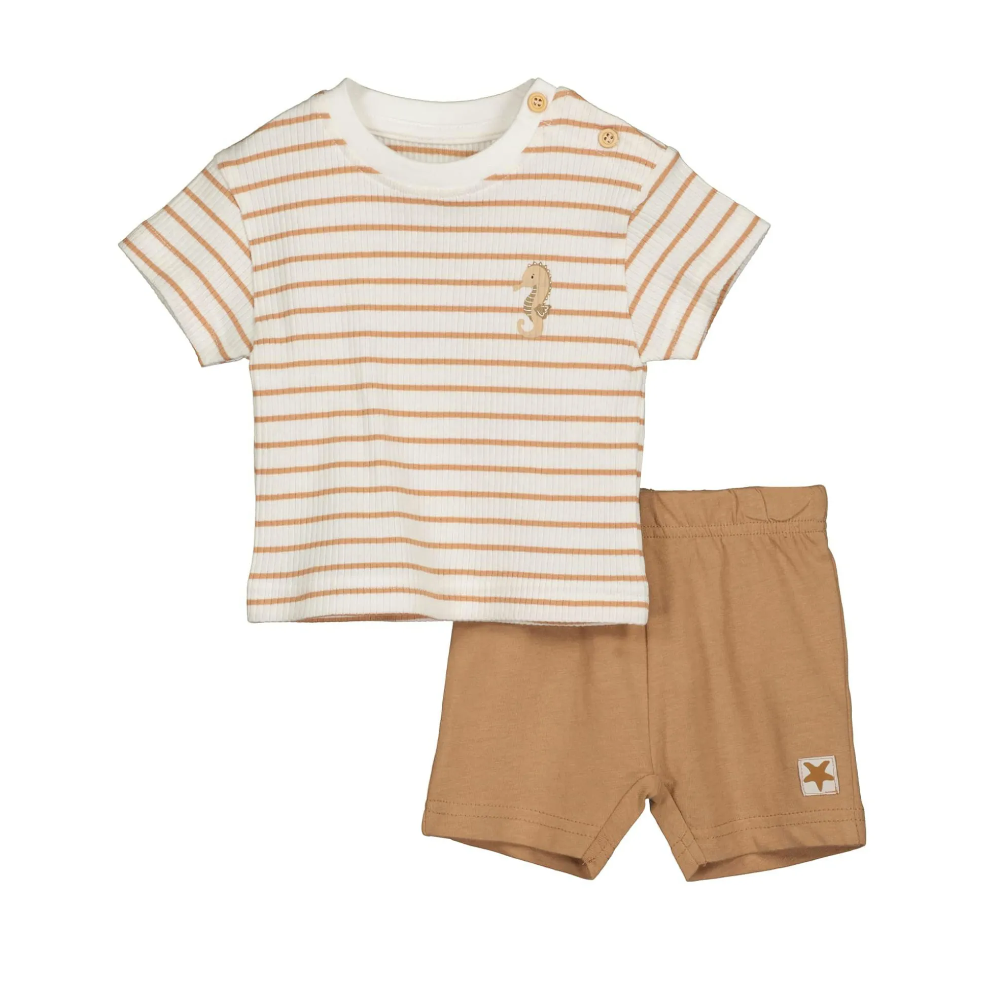 2er-Set T-Shirt und Shorts Sealife