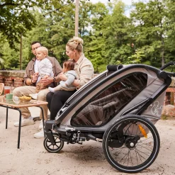 Fahrradanhänger Bike n Walk Duo Light Grey