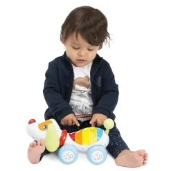 Ferngesteuerter Hund Dogremi