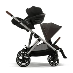 Gazelle S Chocolate Brown