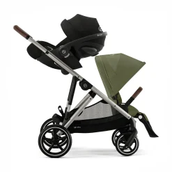 Gazelle S Moss Green