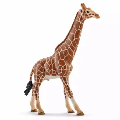 Giraffenbulle