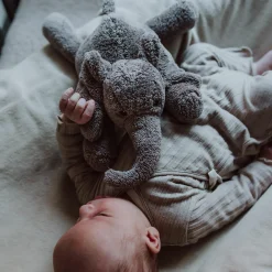 Herzschlag-Kuscheltier George