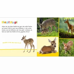 Hör mal rein, wer kann das sein? Tierbabys