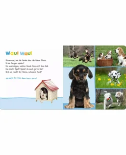 Hör mal rein, wer kann das sein? Lieblingstiere