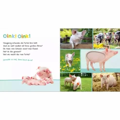 Hör mal rein, wer kann das sein? Bauernhoftiere