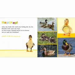 Hör mal rein, wer kann das sein? In der Natur