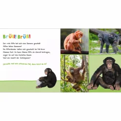 Hör mal rein, wer kann das sein? Zootiere