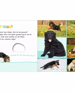 Hör mal rein, wer kann das sein? Tierkinder