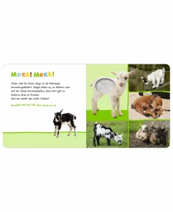 Hör mal rein, wer kann das sein? Tierkinder